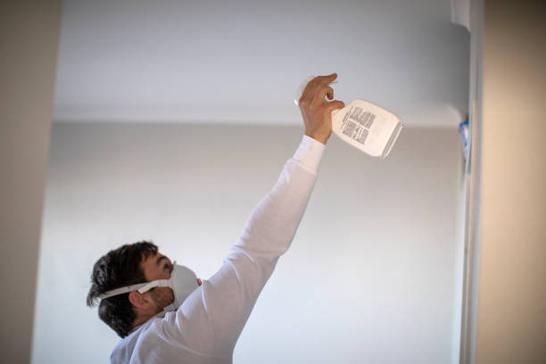 Best Professional Mold Removal  in Bright, IN