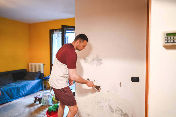 Best Fast Mold Removal  in Bright, IN